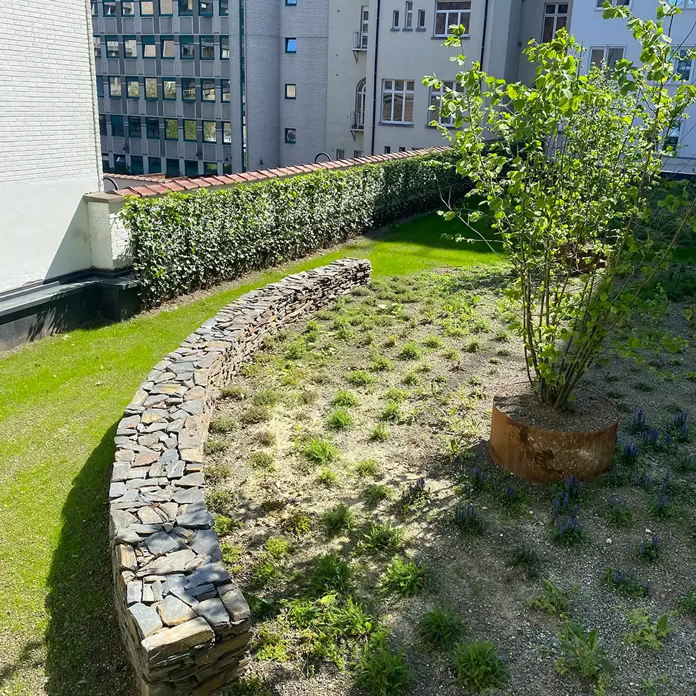 Toiture végétalisée intensive